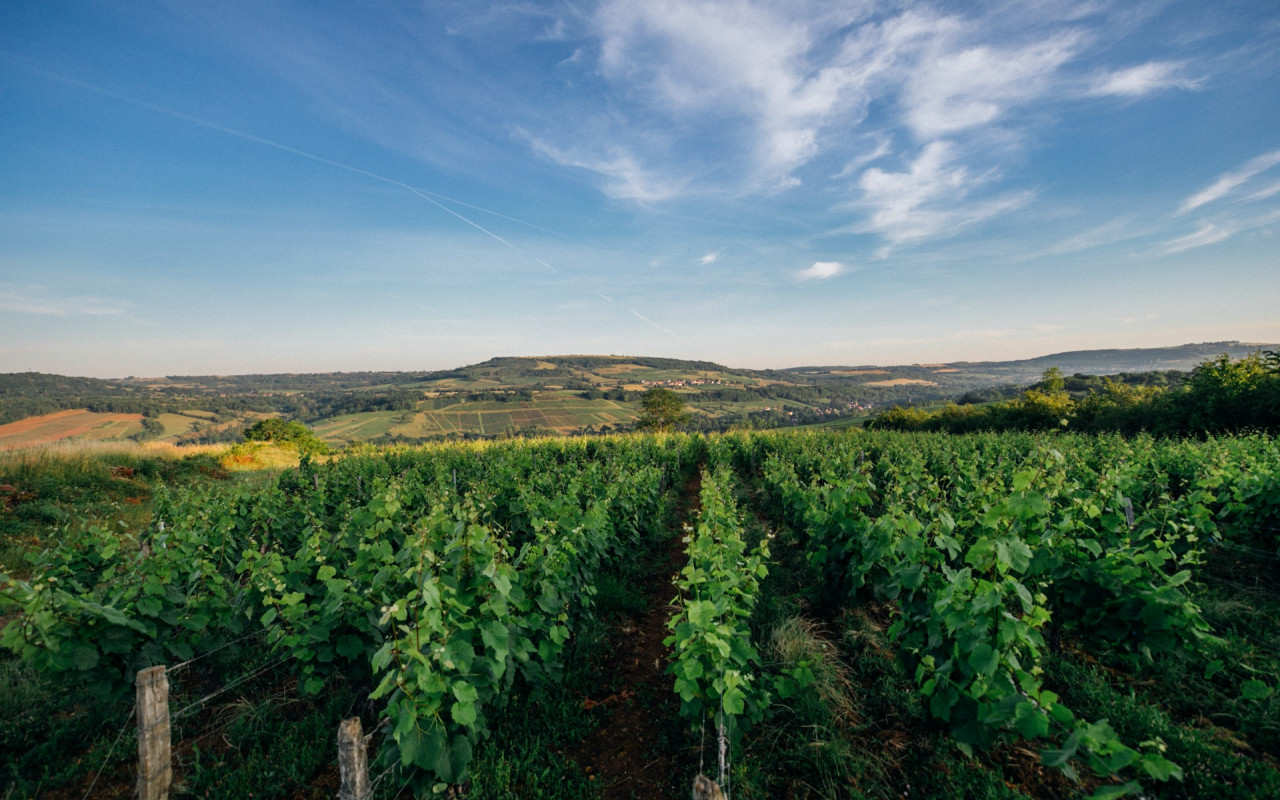 Les terroirs s&#039;agrandissent