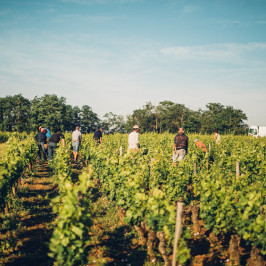 Les terroirs s&#039;agrandissent