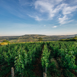 Les terroirs s&#039;agrandissent