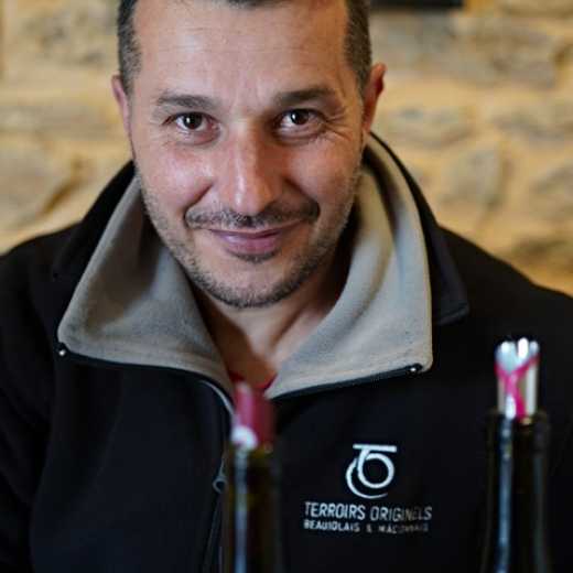 Olivier Pezenneau - Lacenas, Artisan-vigneron de Terroirs Originels