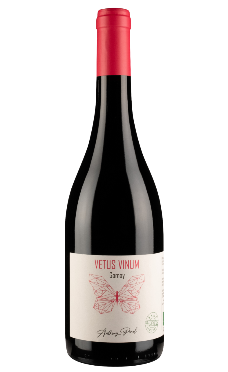 Beaujolais - Vetus Vinum - Anthony Perol